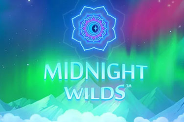 Midnight wilds 游戏封面