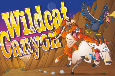 Wild cat canyon 游戏封面