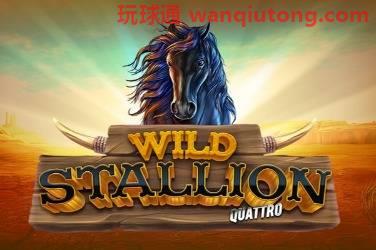 Wild stallion 游戏封面