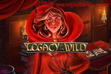 Legacy of the wild 游戏封面